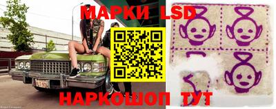 индика Будённовск